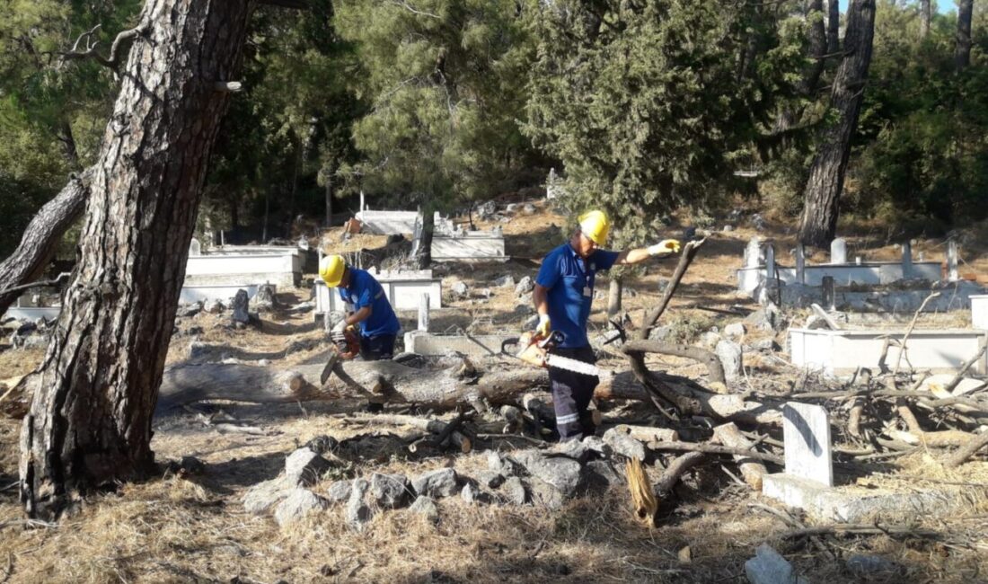 MUĞLA (AA) – Muğla'da, il genelindeki mezarlıklarda yapılan bakım ve