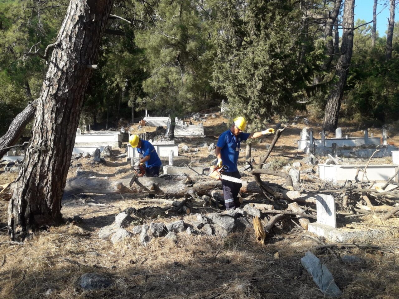 MUĞLA (AA) – Muğla'da, il genelindeki mezarlıklarda yapılan bakım ve