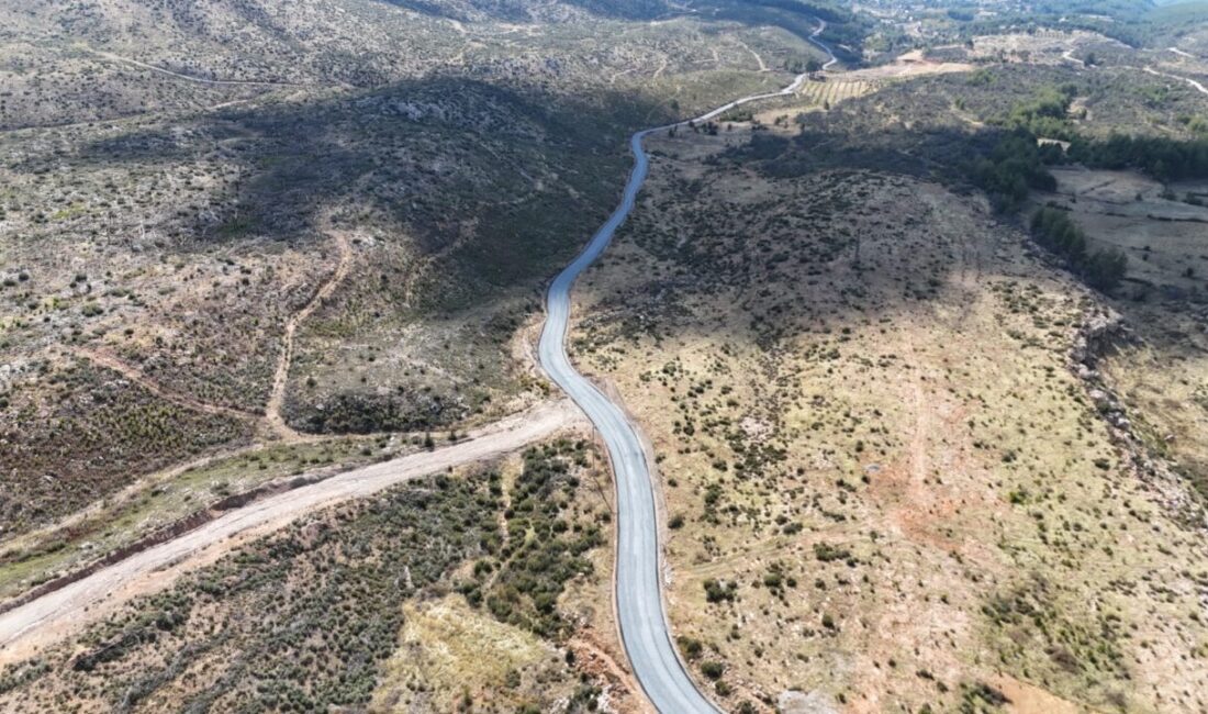 MUĞLA (AA) – Muğla'da, Büyükşehir Belediyesi ve Menteşe Belediyesi’nin koordineli