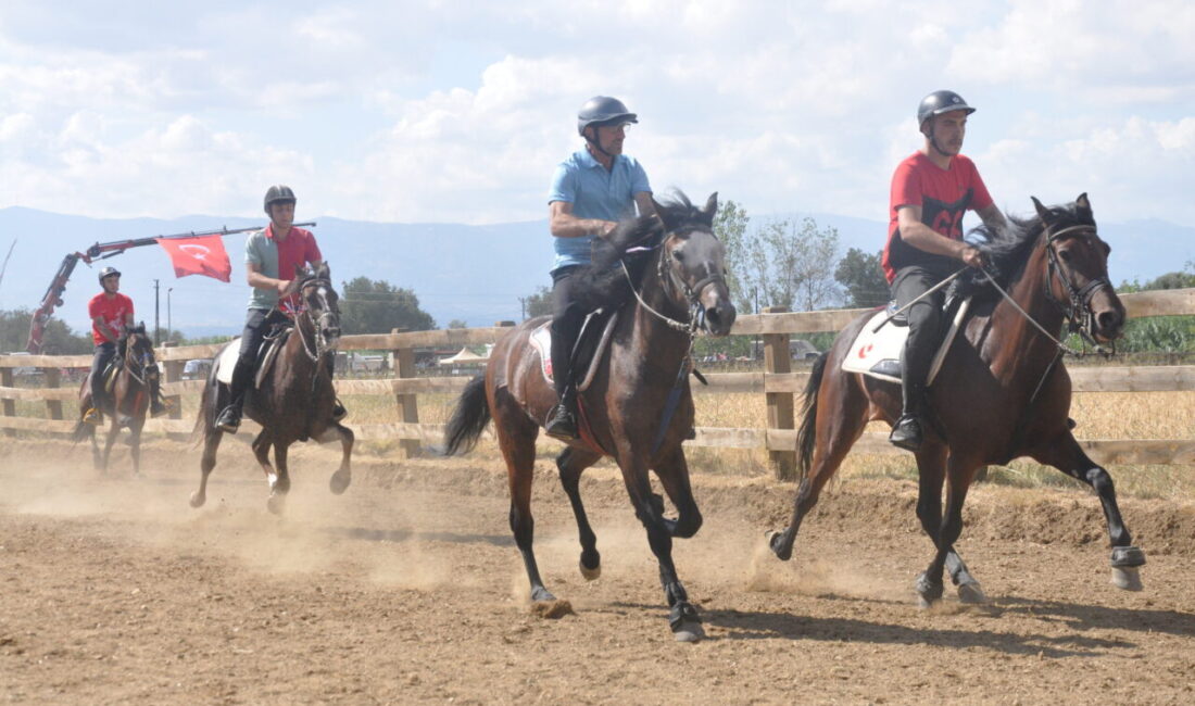 İZMİR (AA) – İzmir'in Ödemiş ilçesinde, Türkiye Geleneksel Atlı Spor