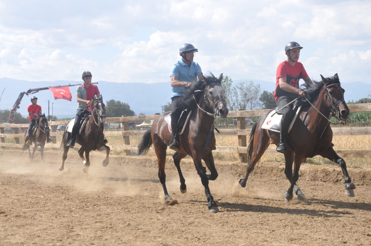 İZMİR (AA) – İzmir'in Ödemiş ilçesinde, Türkiye Geleneksel Atlı Spor