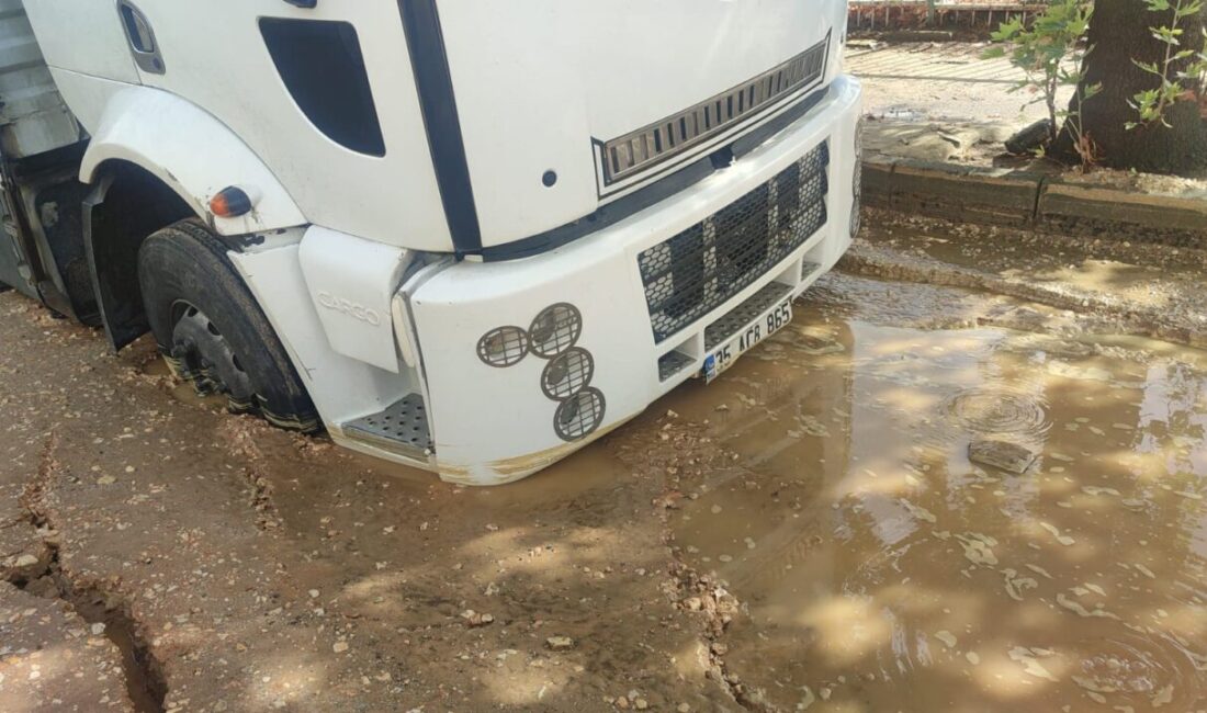 İZMİR (AA) – İzmir'in Ödemiş ilçesinde etkili olan yağış yaşamı