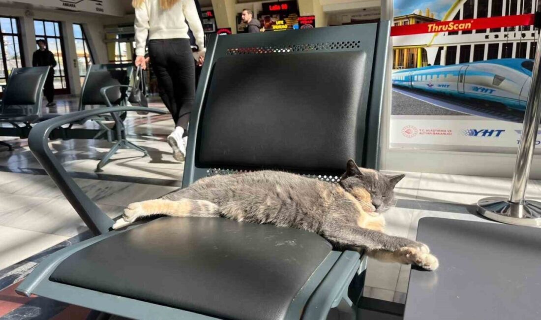 Dışarıdaki soğuk havadan korunmak için tren garı bekleme salonuna sığınan
