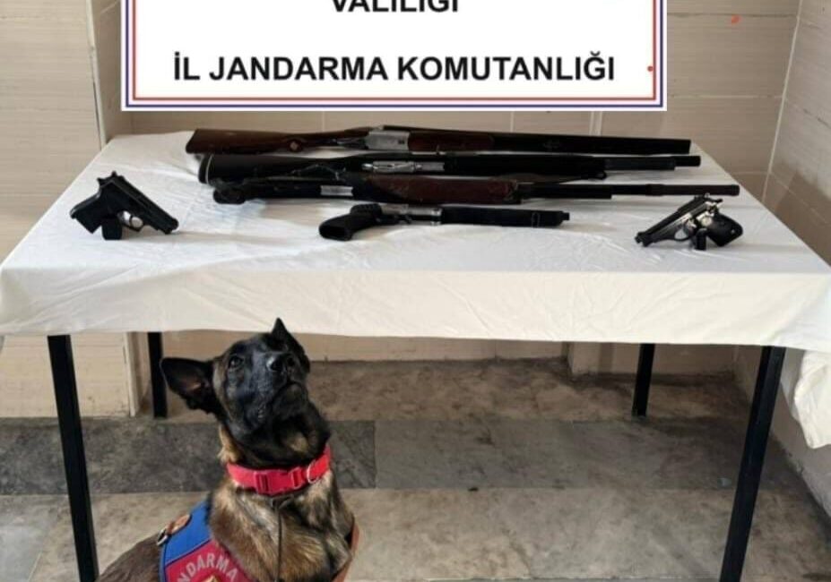 AFYONKARAHİSAR (AA) – Afyonkarahisar'ın İscehisar ilçesinde düğünde silahla havaya ateş