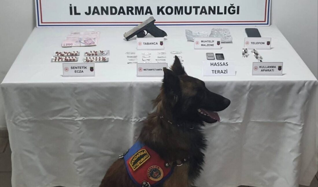 AFYONKARAHİSAR (AA) – Afyonkarahisar'da düzenlenen uyuşturucu operasyonunda yakalanan zanlı tutuklandı.
