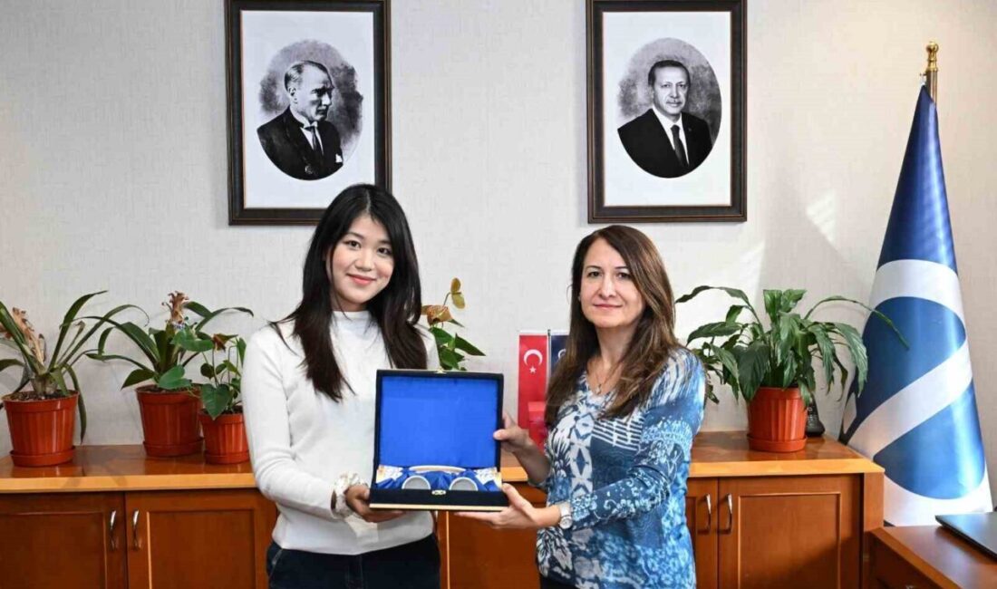 Anadolu Üniversitesi, 2024 yılından bu yana Boğaziçi Konfüçyüs Enstitüsü iş