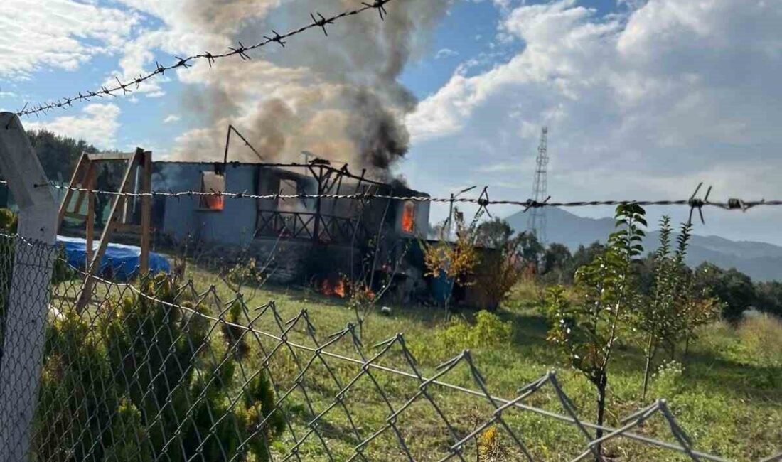 Bilecik’te bir bağ evinde çıkan yangında ev kullanılamaz hale geldi.