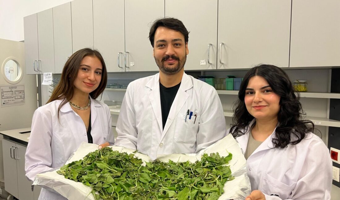 İSTANBUL (AA) – İstanbul Bilgi Üniversitesi öğrencileri Ayşegül Şahin ve
