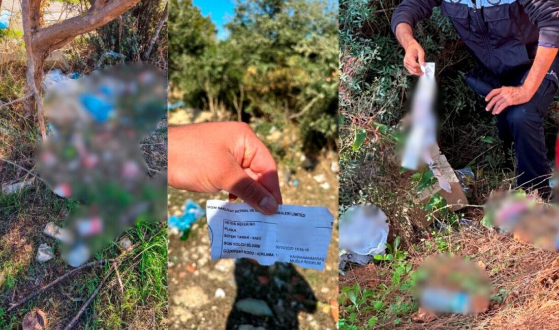 MUĞLA (AA) – Muğla'nın Bodrum ilçesinde, bu yıl çevreyi kirlettiği