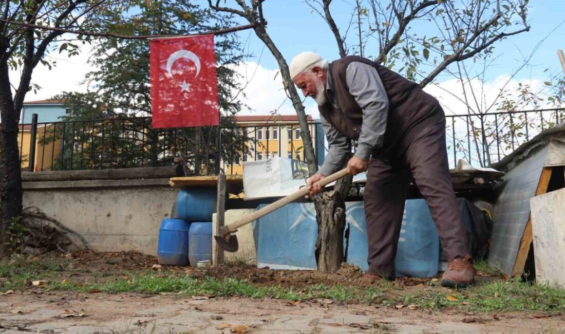 Eskişehir’de atıl haldeki araziye diktiği 50 fidanı elleriyle su taşıyarak