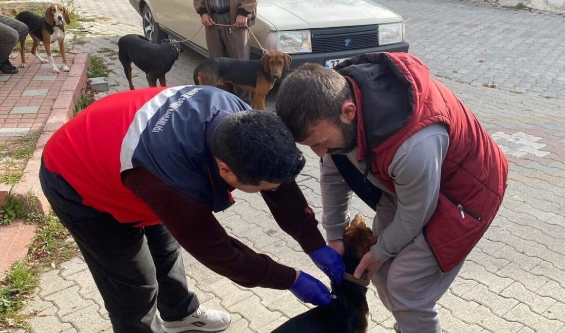 Kütahya’nın Emet İlçe Tarım ve Orman Müdürlüğü ekipleri, hayvan sağlığının