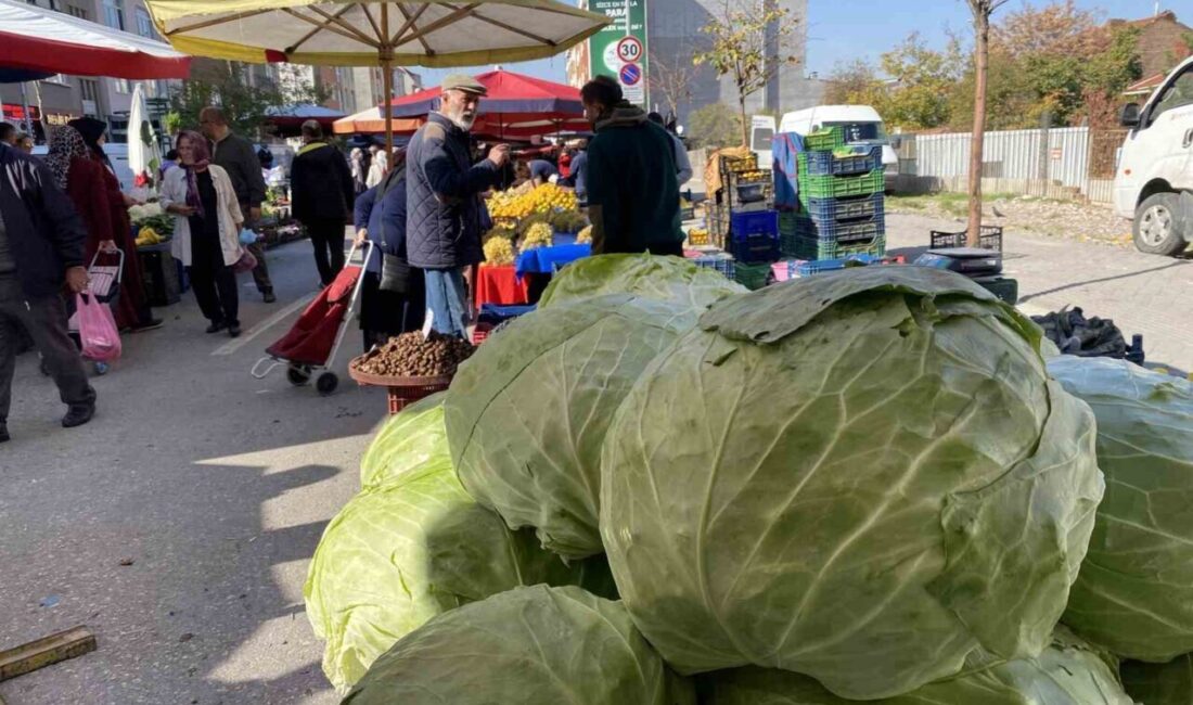 Eskişehir’de pazar tezgahlarında yer alan 11 kiloluk devasa lahanalar vatandaşlar