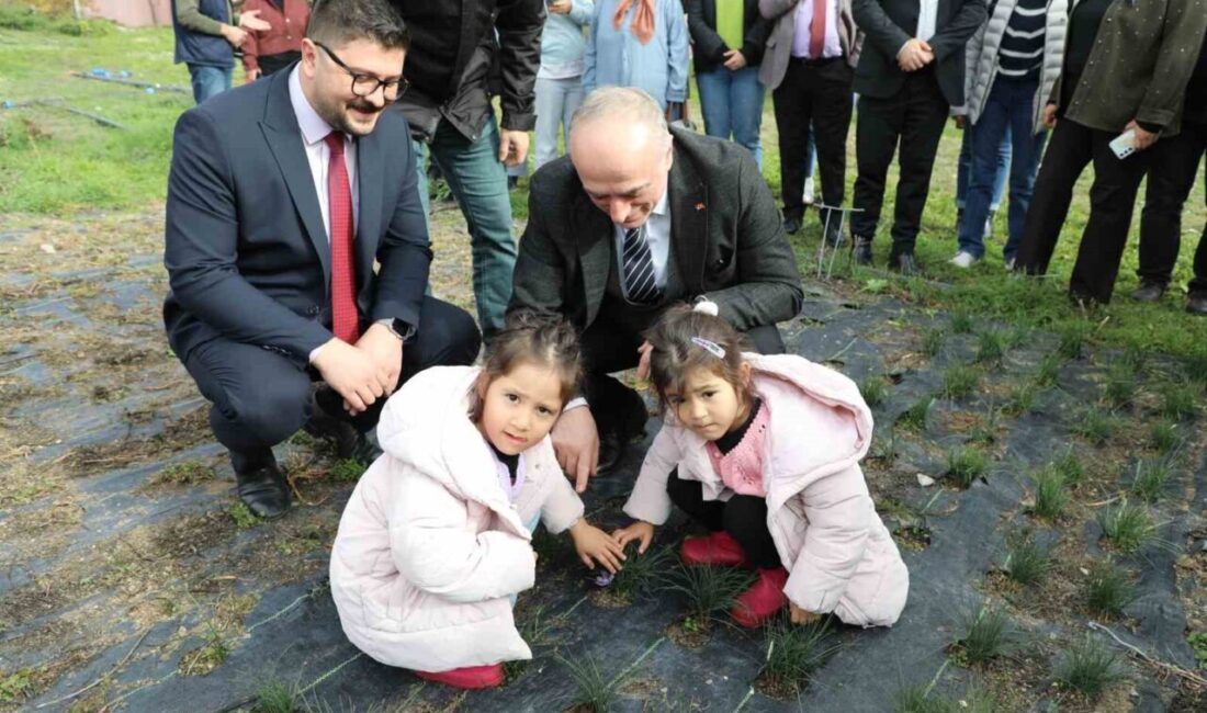 Eskişehir İl Tarım ve Orman Müdürlüğü tarafından, Geçit Kuşağı Tarımsal