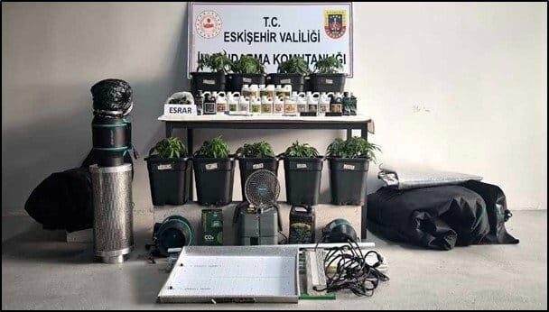 Eskişehir’de esrar elde etmek için iklimlendirme sistemi kurup kenevir bitkisi