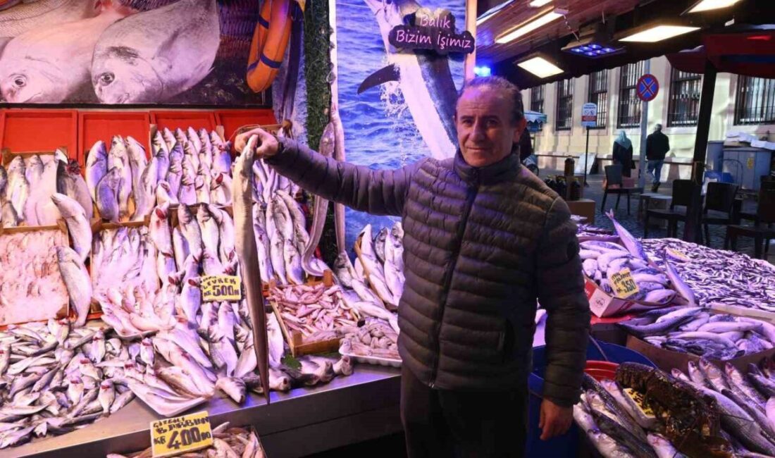 Eskişehir’e İskenderun’dan getirilen yılan balığı, restoranlara ve özel müşterile satılıyor.