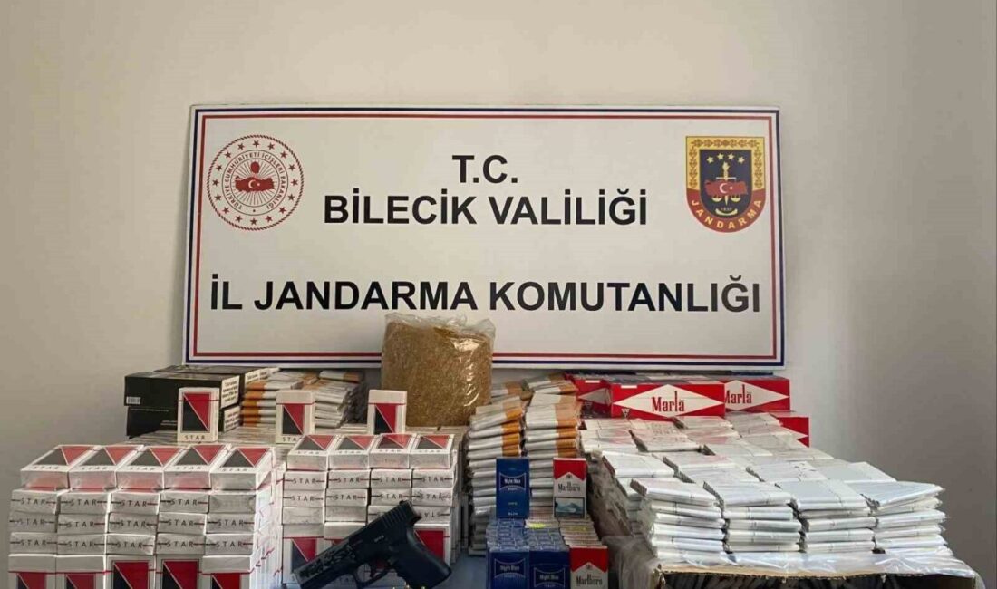 Bilecik’in Osmaneli ilçesinde jandarma ekiplerince bir eve düzenlenen baskında, ruhsatsız