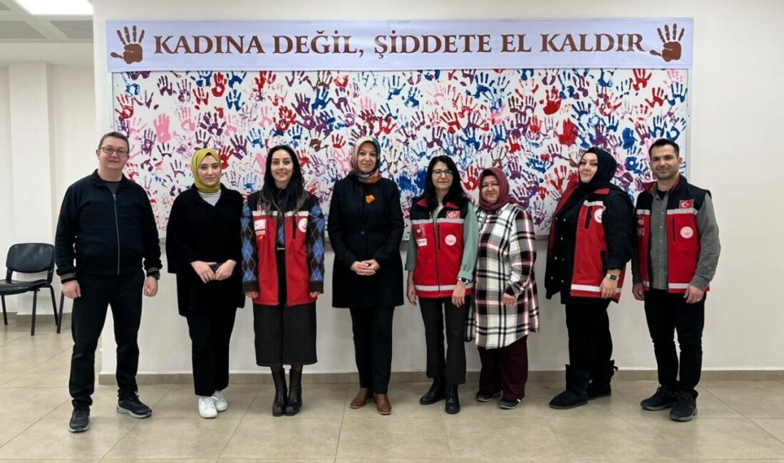 Kütahya Aile ve Sosyal Hizmetler İl Müdürlüğü, Kadına Yönelik Şiddetle
