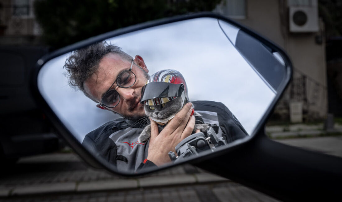 - Muğla'nın Fethiye ilçesinde sahibiyle motosikletle gezmeye alışan kedi, bu