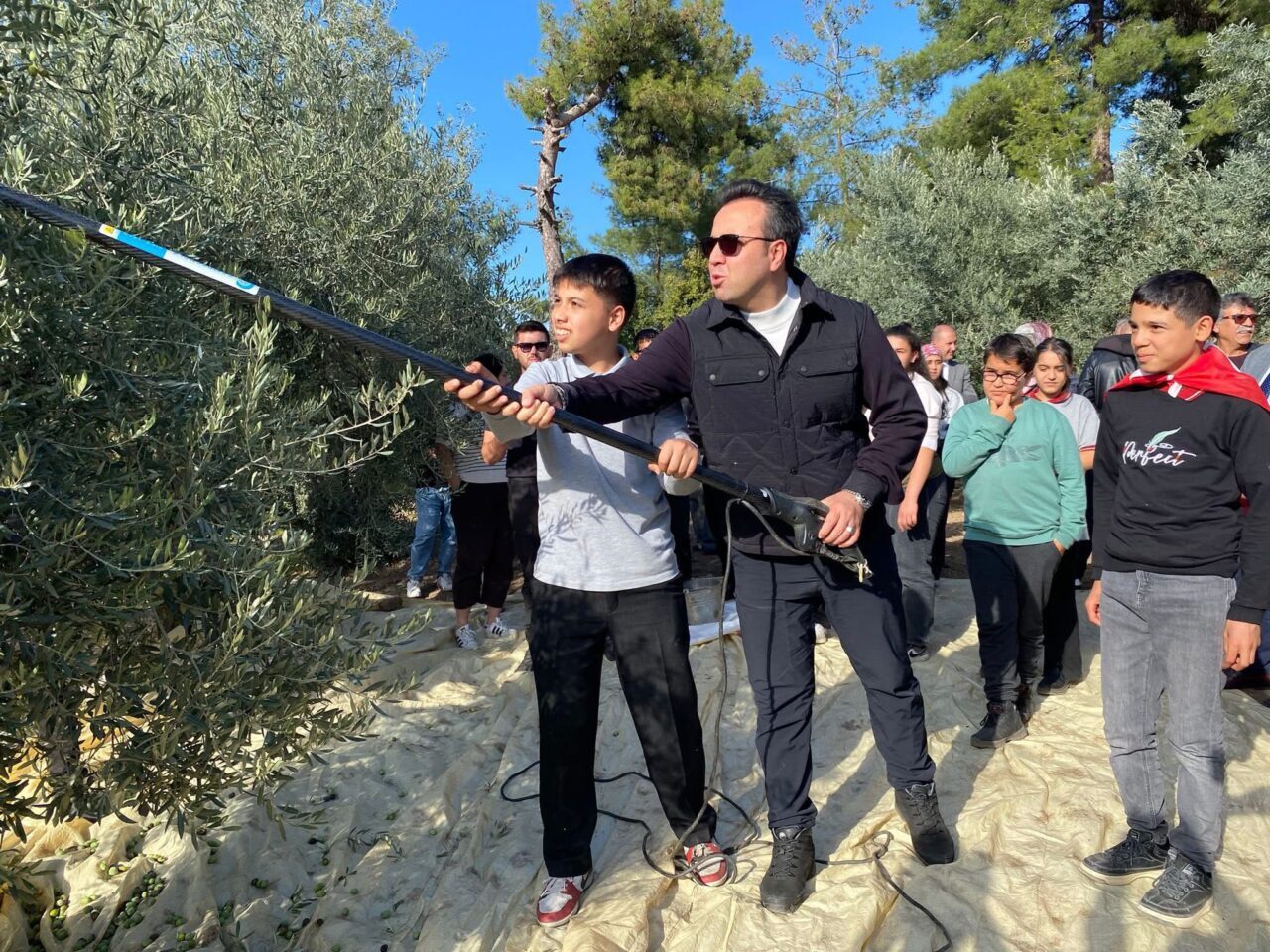 MUĞLA (AA) – Muğla'nın Kavaklıdere ilçesindeki Hyllarima Antik Kenti'nde zeytin