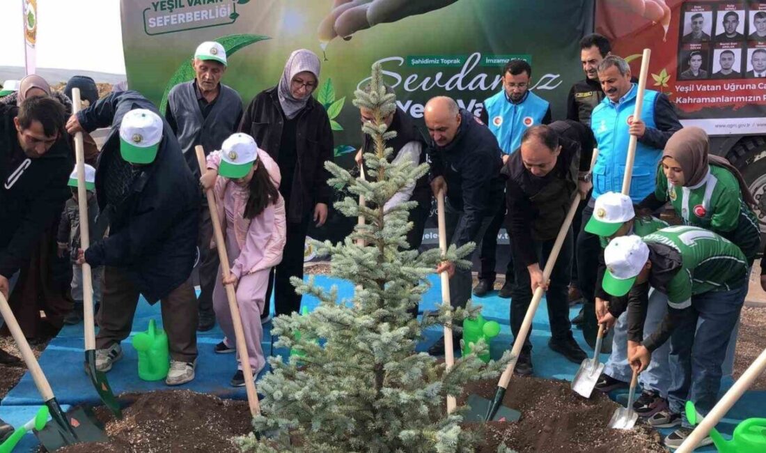 Eskişehir’in Seyitgazi ilçesinde çıkıp Afyonkarahisar’a sıçrayan orman yangınında şehit olan