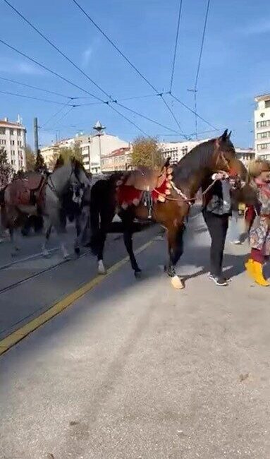 Eskişehir’de şehir merkezinde yöresel kıyafetli insanlar tarafından gezdirilen atlar vatandaşlarda