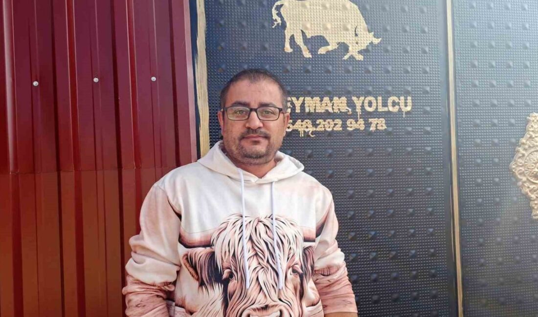 Kütahya’nın Hisarcık ilçesinde araziye mantar toplamaya giden işçi emeklisi, yolda