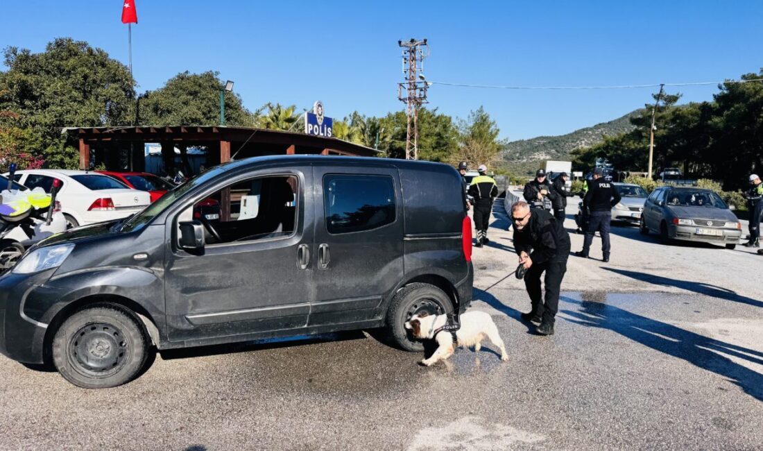- Denetimlerde, araçlardaki aramalarda narkotik dedektör köpekleri de kullanıldı