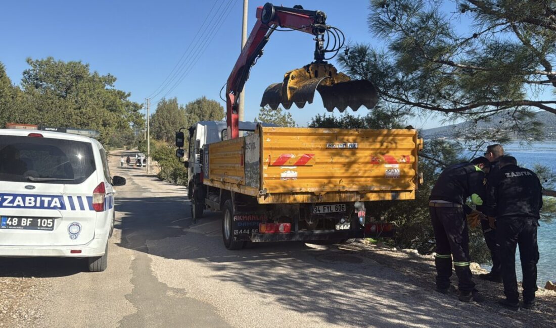 MUĞLA (AA) – Muğla'nın Bodrum ilçesinde, sahilde ölü caretta caretta