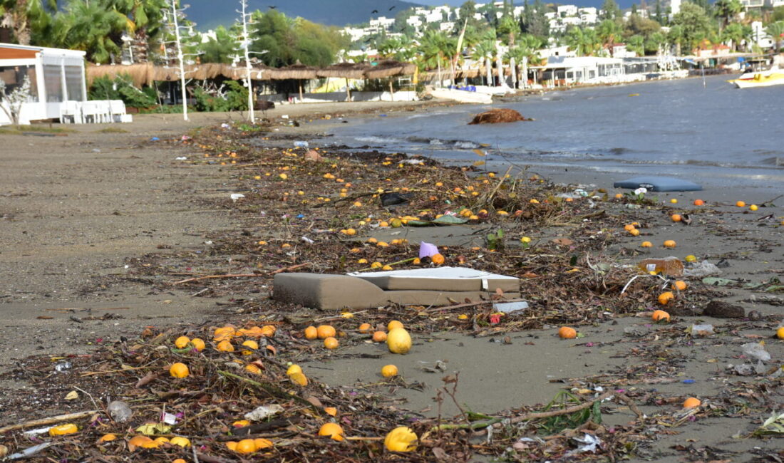 MUĞLA (AA) – Muğla'nın Bodrum ilçesinde özellikle dün etkili olan