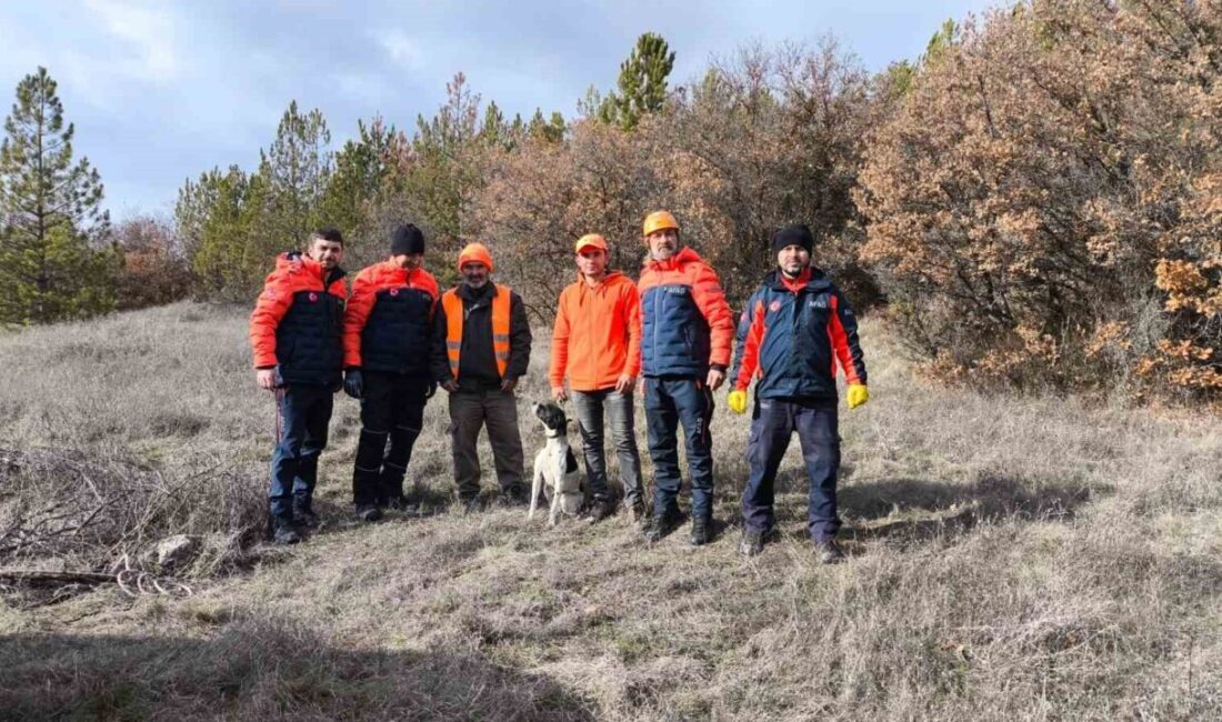 Eskişehir’de 12 metrelik çukura düşen köpek, Afet ve Acil Durum