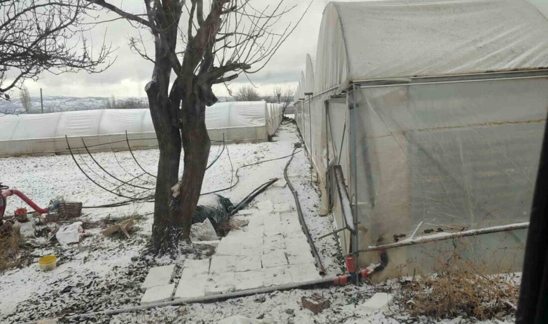 Eskişehir’de seralar, dondurucu soğukların etkisiyle tamamen buz tutarken, bu durum