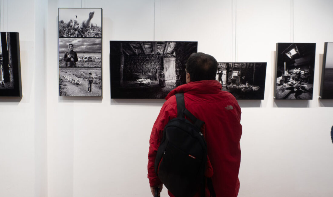İZMİR (AA) – Fotoğraf sanatçısı Kadir Ekinci'nin, Kars kazlarını konu