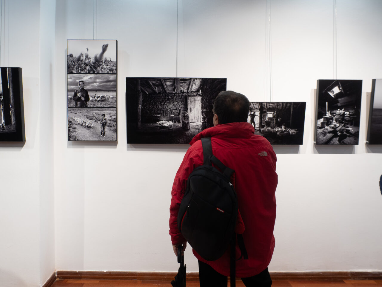 İZMİR (AA) – Fotoğraf sanatçısı Kadir Ekinci'nin, Kars kazlarını konu