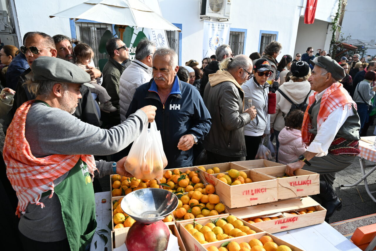 MUĞLA (AA) – Muğla'nın Bodrum ilçesinde, "Bodrum Mandalin Festivali" gerçekleştirildi.