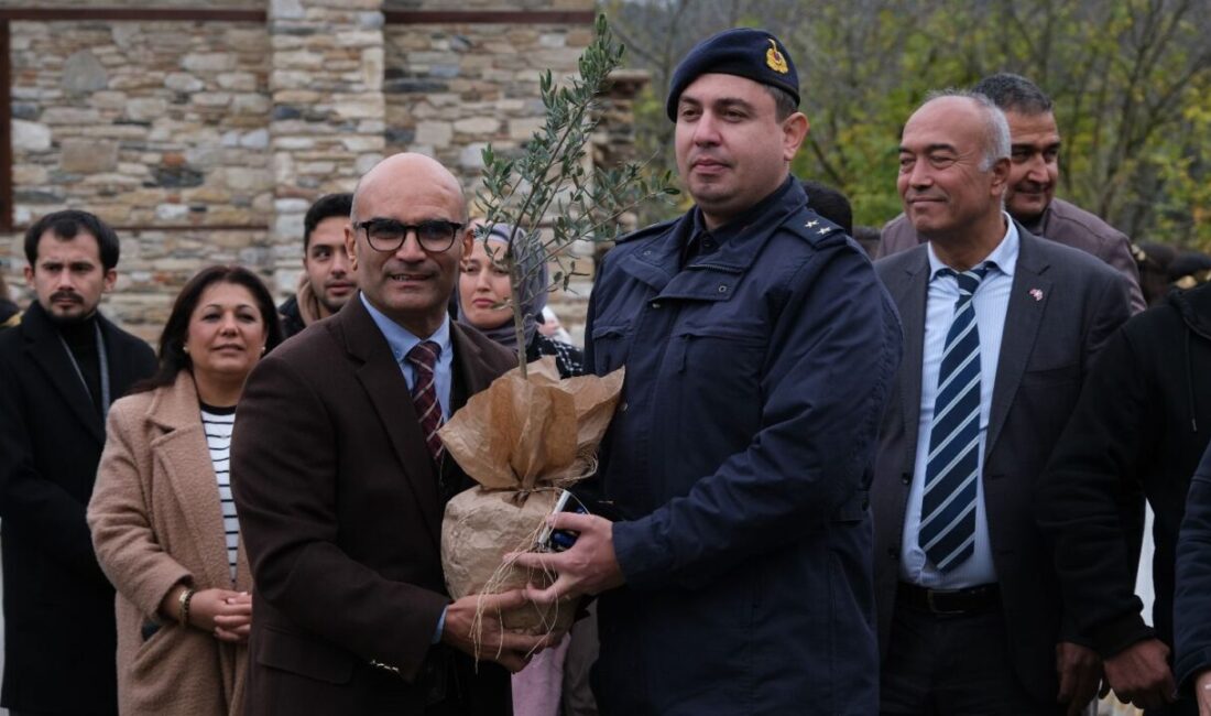 MUĞLA (AA) – Muğla'nın Yatağan ilçesindeki Stratonikeia Antik Kenti'nde zeytin