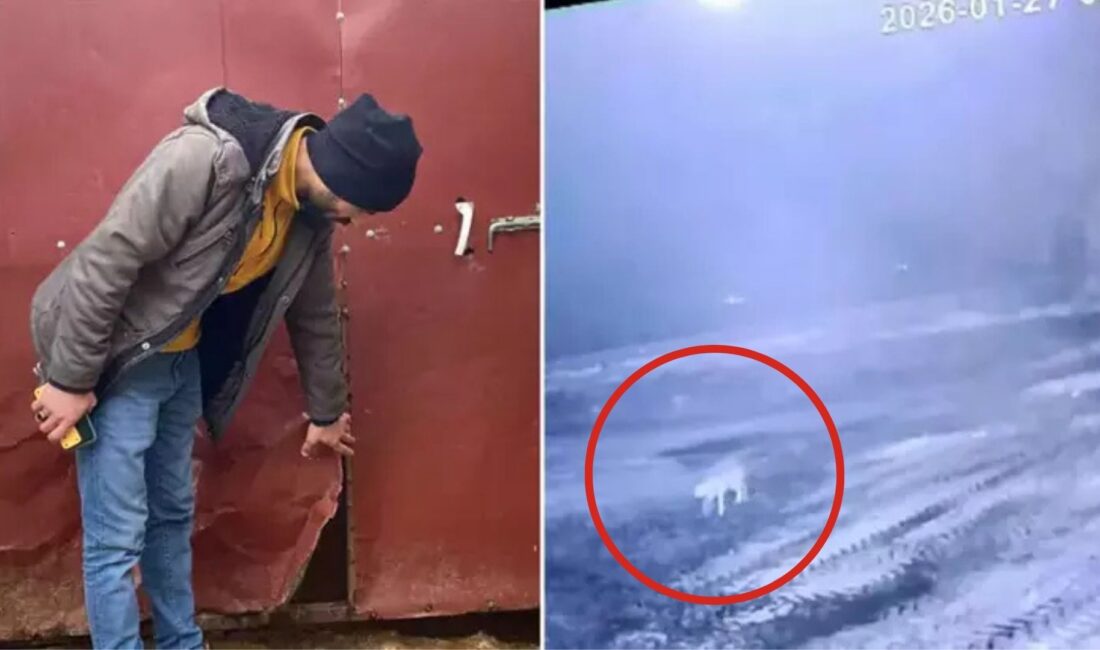 Kars'ın Digor ilçesinde akıllara durgunluk veren bir vahşi doğa olayı