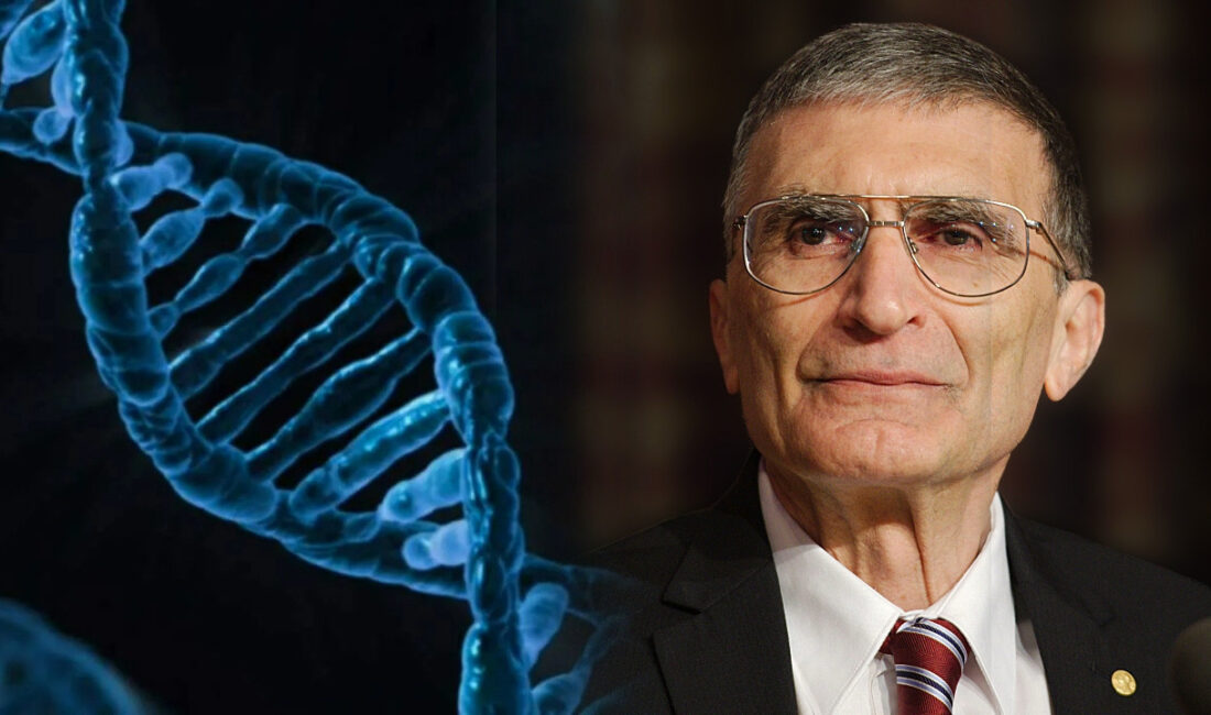 Nobel ödüllü bilim insanı Aziz Sancar ve ekibi, fareler üzerinde