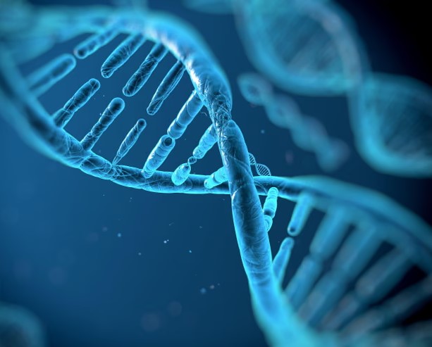 AlphaGenome, aynı anda 1 milyon harfe kadar DNA kodunu analiz