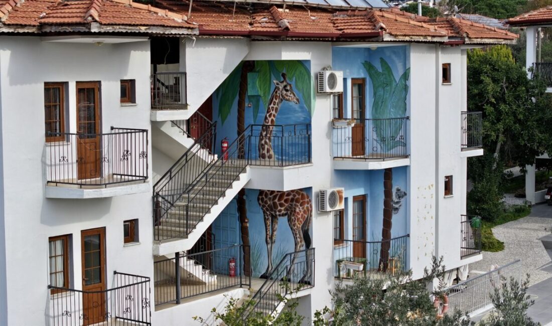 - Muğla'nın Fethiye ilçesinde binaların dış cephelerini ve kayaları tuval
