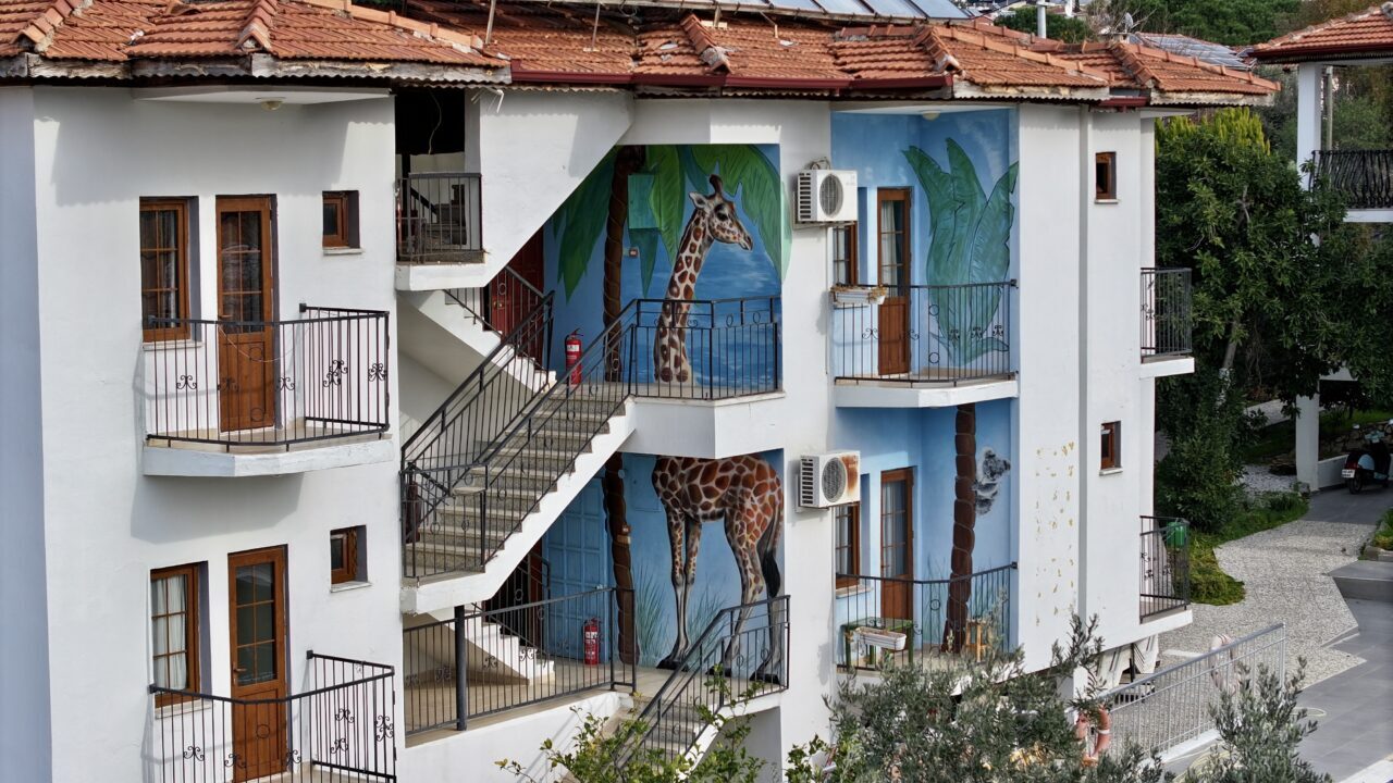- Muğla'nın Fethiye ilçesinde binaların dış cephelerini ve kayaları tuval