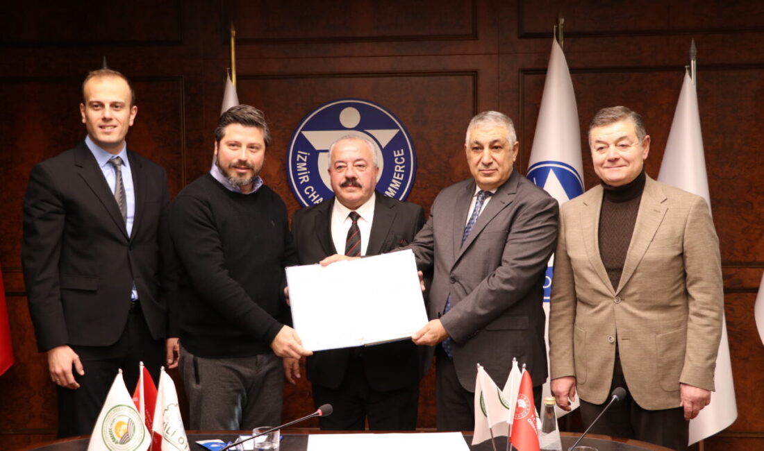 İZMİR (AA) – İzmir'in Dikili ilçesindeki Tarıma Dayalı İhtisas Sera