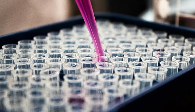 ImmunityBio’nun QUILT-106 çalışmasında, kemik iliğinin yüzde 95’i tümörle kaplı Waldenström