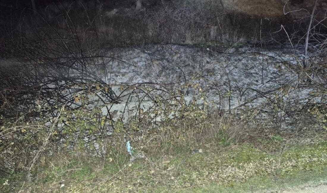 Bilecik’te çıkan küçük çaplı ot yangını erken müdahaleyle söndürüldü. Bilecik’in