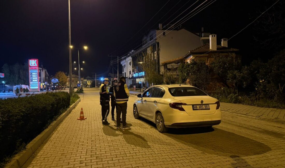 MUĞLA (AA) – Muğla'nın Seydikemer ve Bodrum ilçelerinde yeni yıl