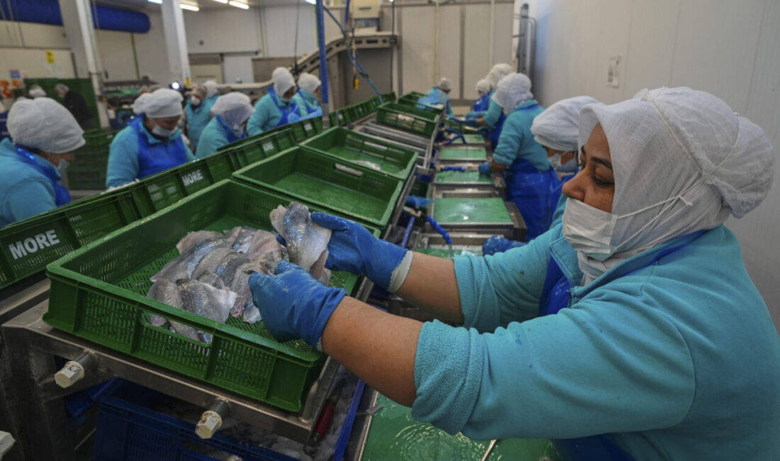 - Geçen yıl 2 milyar 243 milyon dolar dış satım