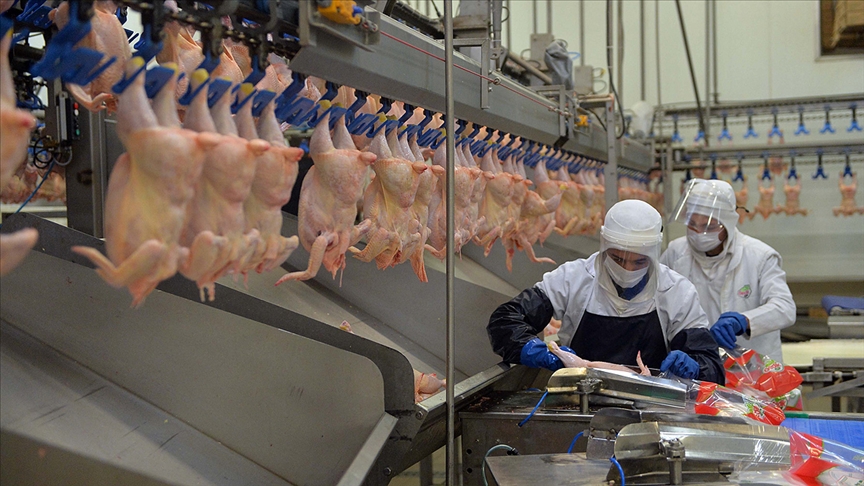 Ramazan Öncesi Tavuk Fiyatlarına Yüzde 15 Zam: Ticaret Bakanlığı İhracatı