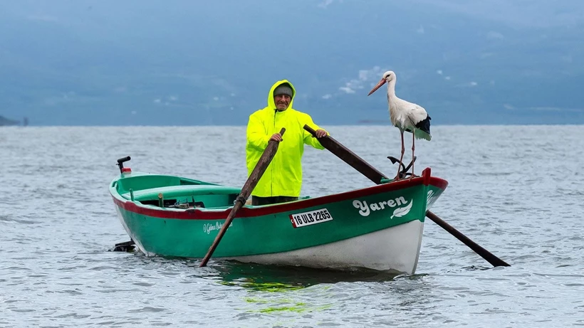 Bursa'nın Karacabey ilçesinde, insan ile doğanın muazzam dostluğunu tüm dünyaya