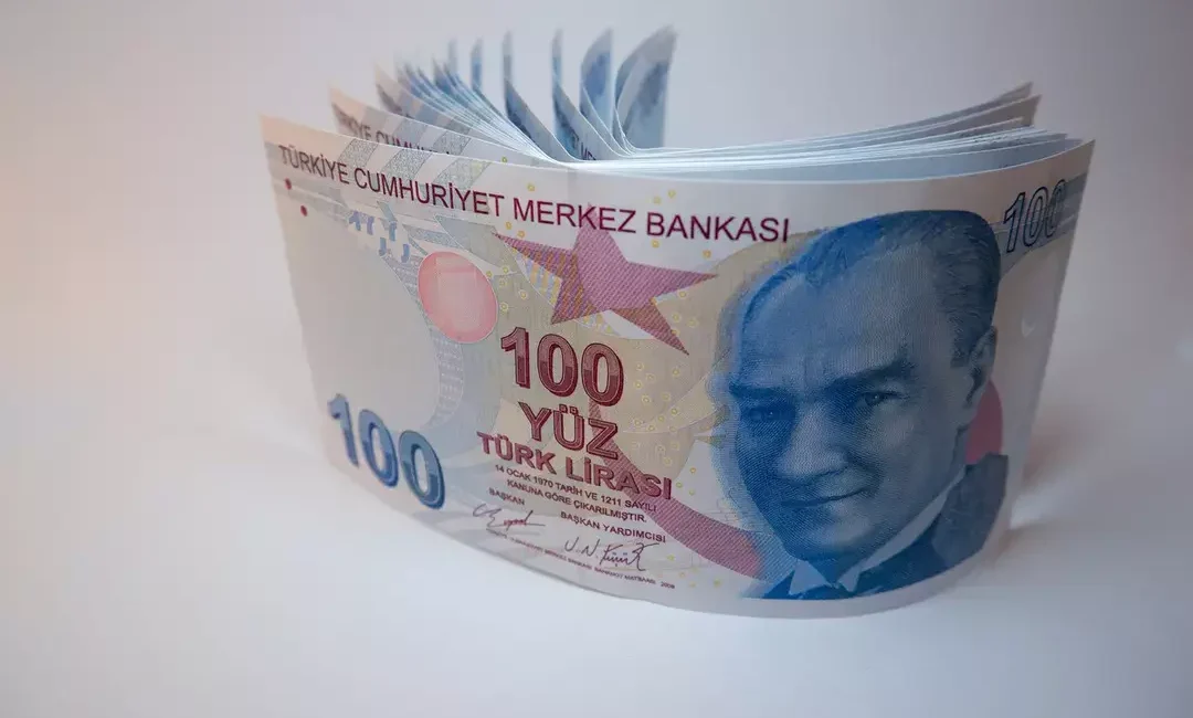 Enflasyona karşı birikimlerini korumak ve risksiz getiri elde etmek isteyen