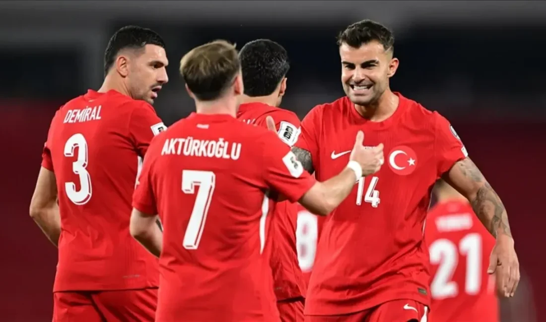 A Milli Futbol Takımımız, 2026 FIFA Dünya Kupası D Grubu'ndaki