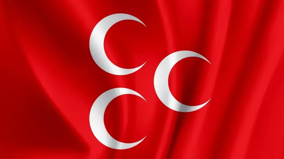 MHP Genel Başkan Yardımcısı Semih Yalçın, parti tüzüğünün ilgili maddelerine